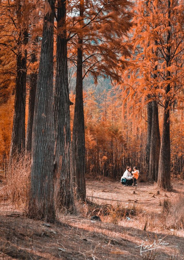 七上第三单元作文写人要抓住特点,七年级上册写人抓住特点写作作文