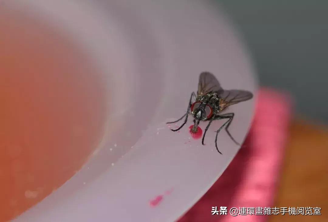 对地球有最大作用的东西,对地球有哪些影响