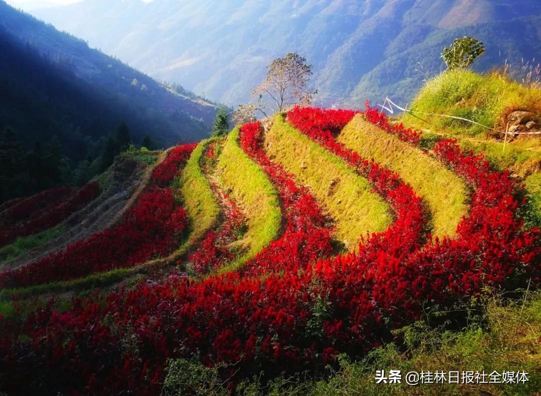 医护人员去桂林旅游,桂林市医护人员免费景区