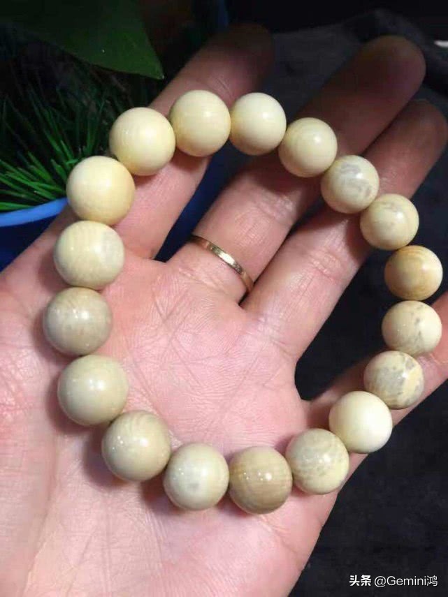 猛犸象牙把玩方法,猛犸象牙的来历