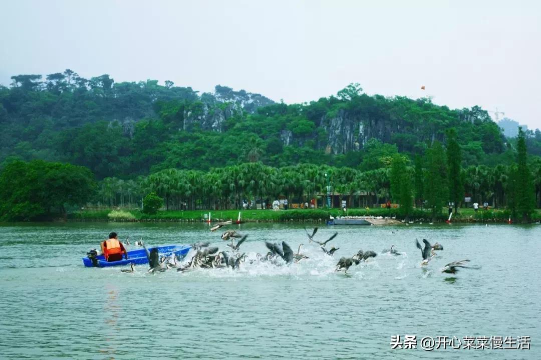河源万绿湖江舍精品民宿,河源民宿旅游攻略