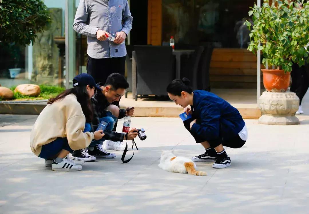 马未都给皇家带什么,马未都讲鸳鸯是什么