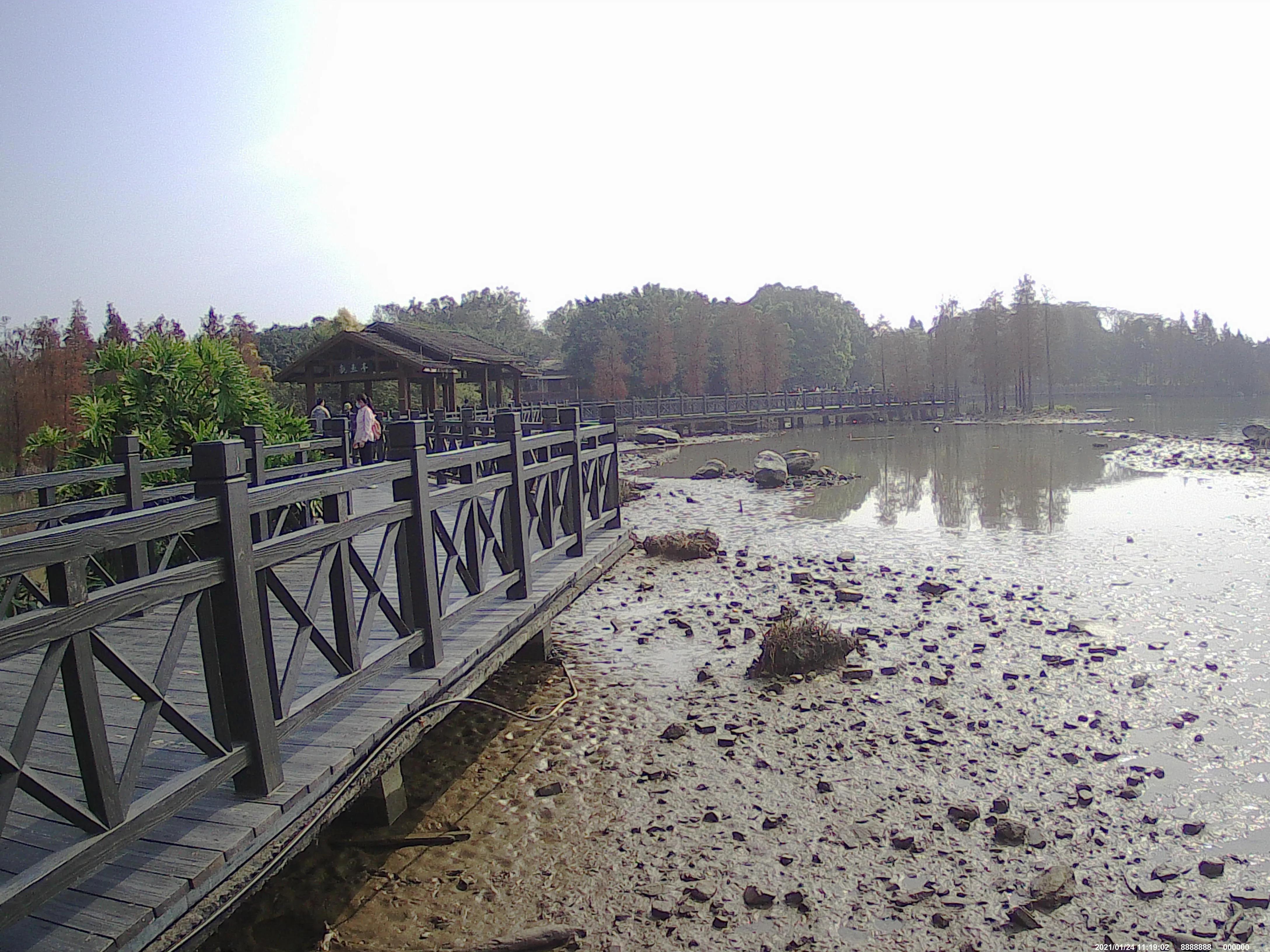 广州海珠湖,海珠湖变化