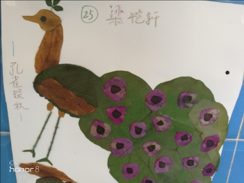 [秋叶之赋]秋日落叶漫漫，落叶归根，然而落叶有顽强的生命力