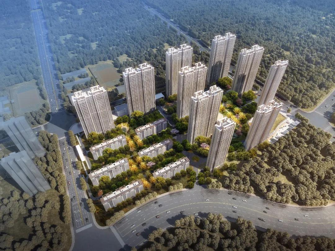 一个正在崛起的新区,一个新开发的新城