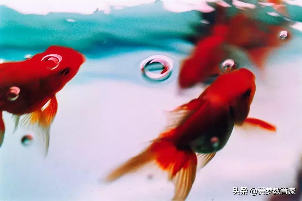 亚洲最狂野女导演，一年出3部新片，半个演艺圈为她站台