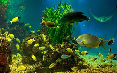 大连吃住行便宜地方,大连攻略全在这里