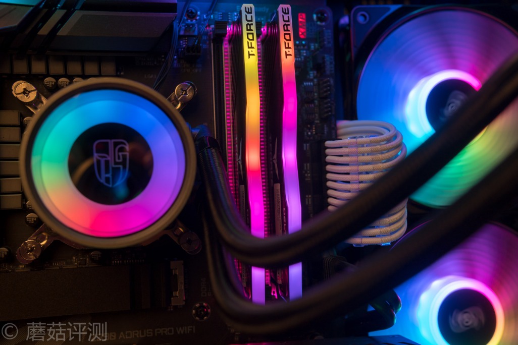 十铨deltargb,十铨team内存几线品牌