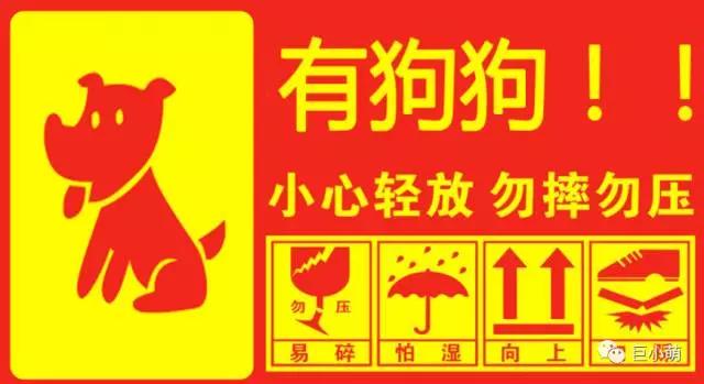 空运狗狗健康吗,空运狗狗要去机场接吗