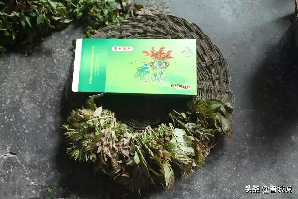 “椿暖花开”来晋城泽州这个村子让你“香椿自由”！