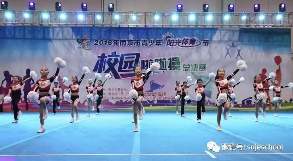 苏杰学校老师怎么应聘,南京苏杰学校