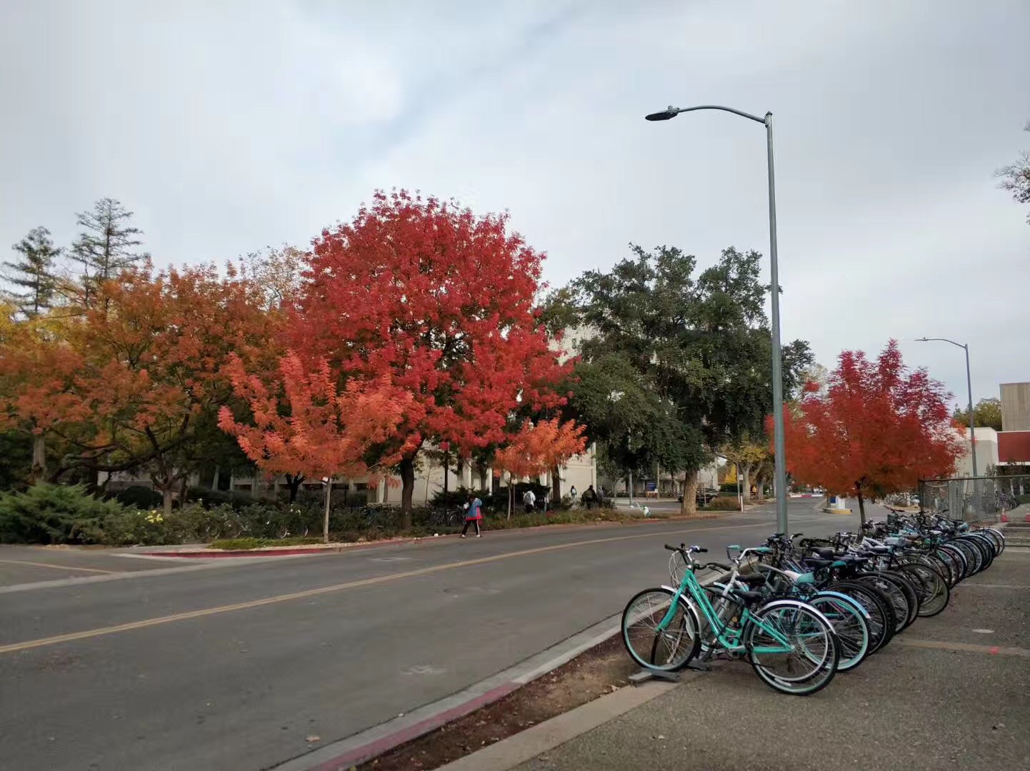 备受推崇的迈阿密大学牛津分校到底是什么样的？