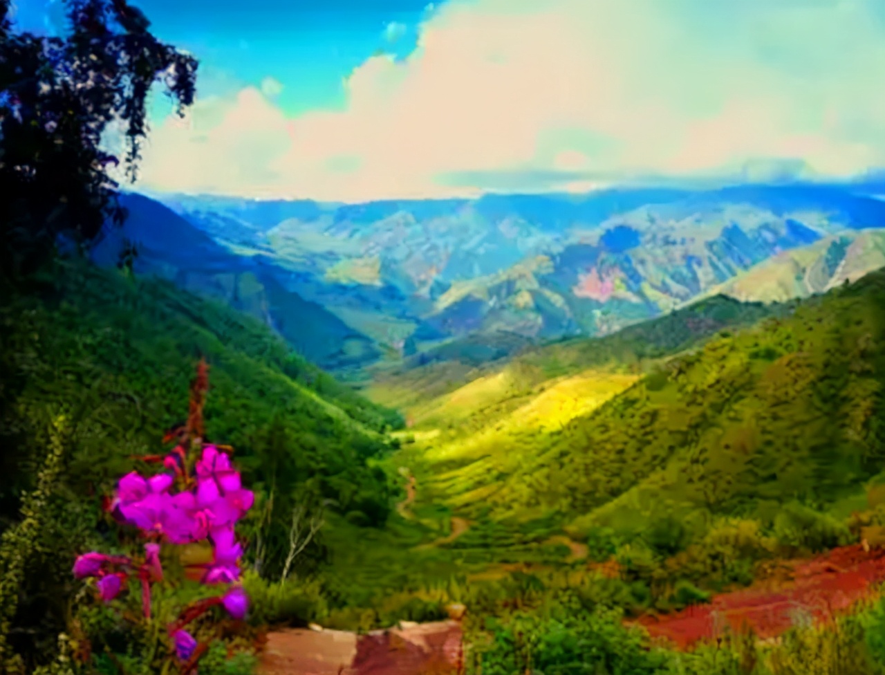 中国最后一方净土在哪里,中国最后的净土在夏尔西里