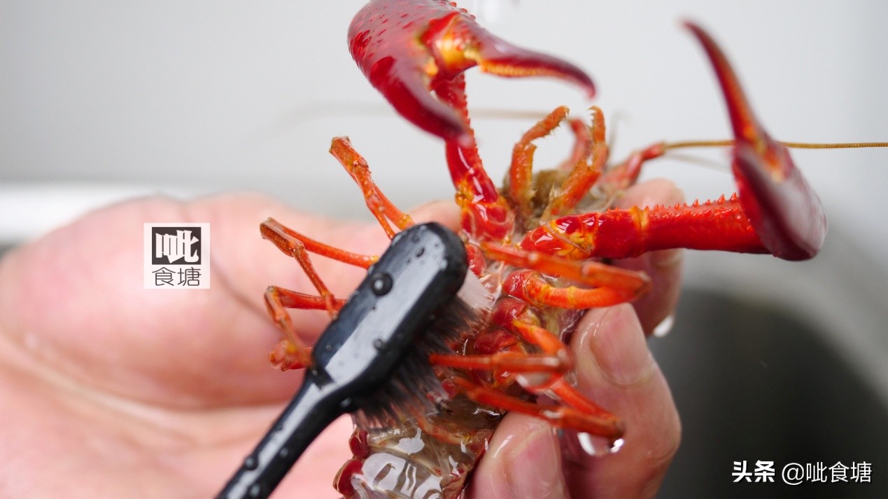 不带壳小龙虾最正宗做法,即食麻辣小龙虾推荐