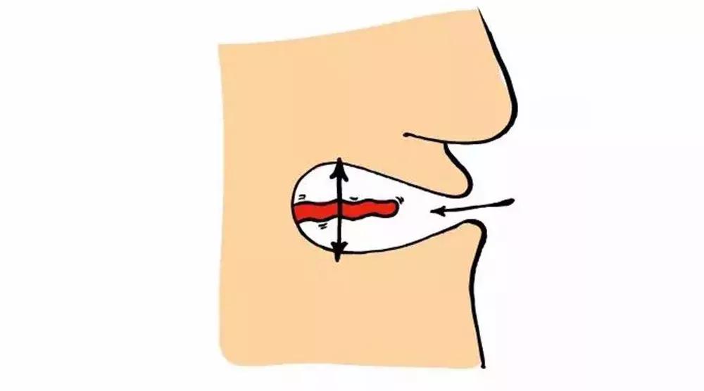 启智说说|“人人都该知道的葡萄酒基础知识”分享