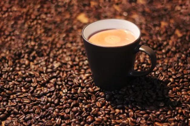 印尼猫屎咖啡官方旗舰店,印尼猫屎咖啡哪个牌子最正宗