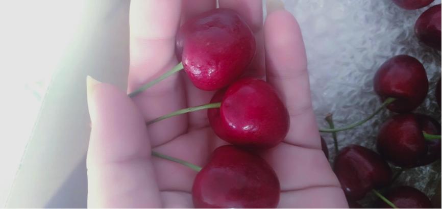 这智商太赞了！小伙提早回乡帮乡亲拼购，全村大妈抢着给介绍对象