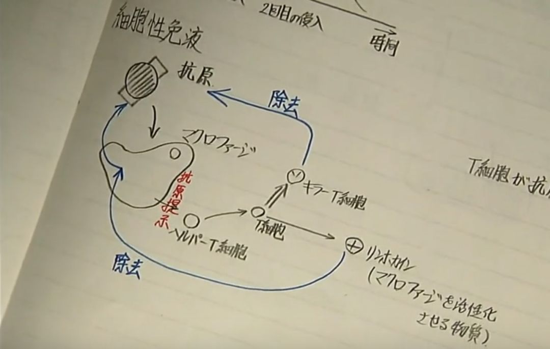 日本高考和美国高考区别,日本高考和中国对比图