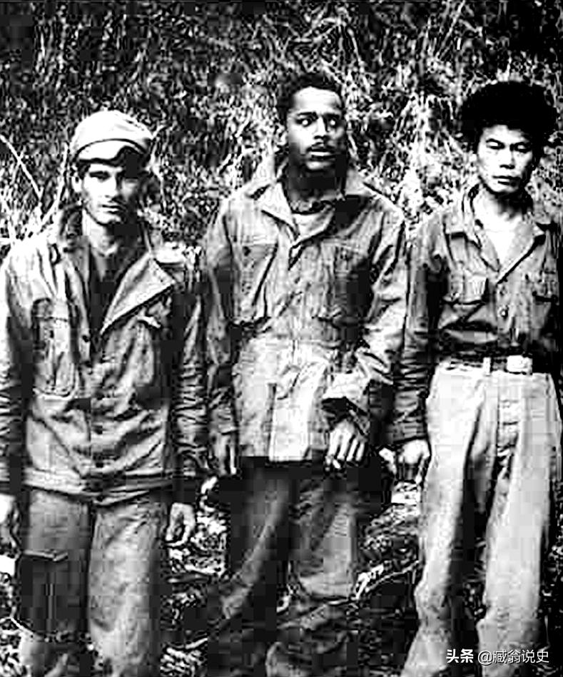 6个故事剧情完整分析,六个历史真实故事