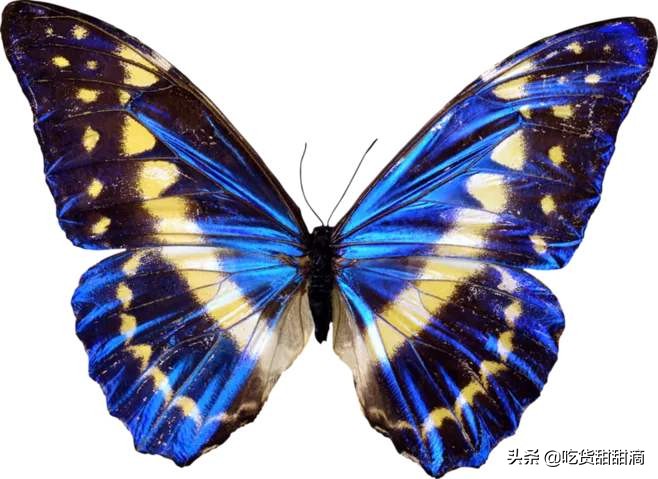 衣服上面打的结,衣服上打最简单的结