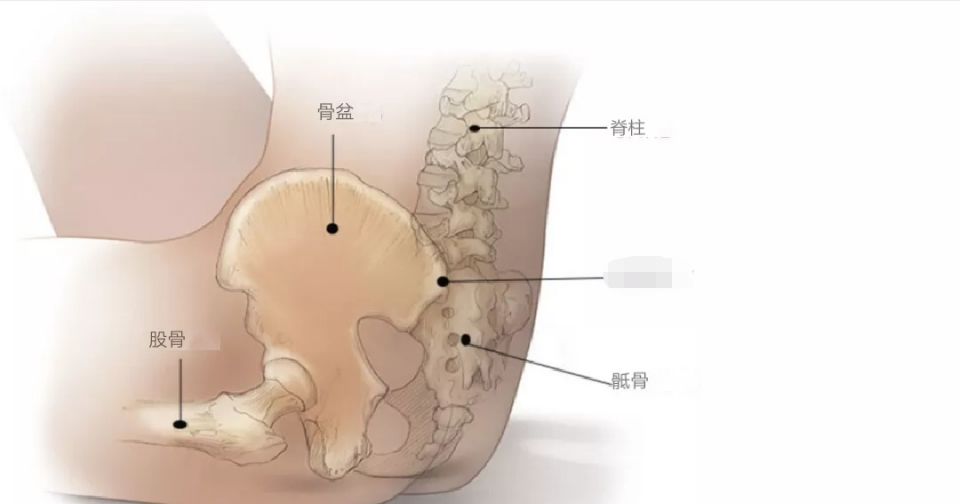 腰疼骶髂关节疼屁股疼,腰痛胯骨侧面痛屁股疼怎么回事
