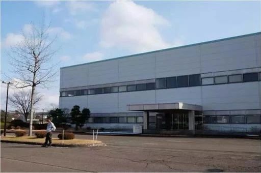 杨紫近照曝光无修图法令纹很深,杨紫面部填充法令纹