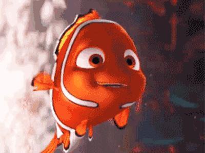 公猫可以有多个乳房吗,公猫也长乳房吗