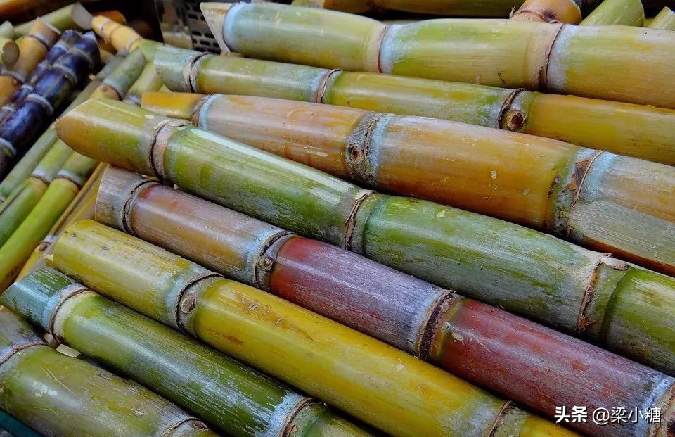 出生月份对应什么水果,十月份丑时出生吃什么顺利