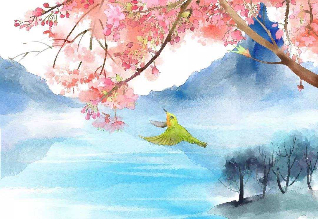 贺知章什么时候写的回乡偶书,回乡偶书是贺知章哪时偶然写的