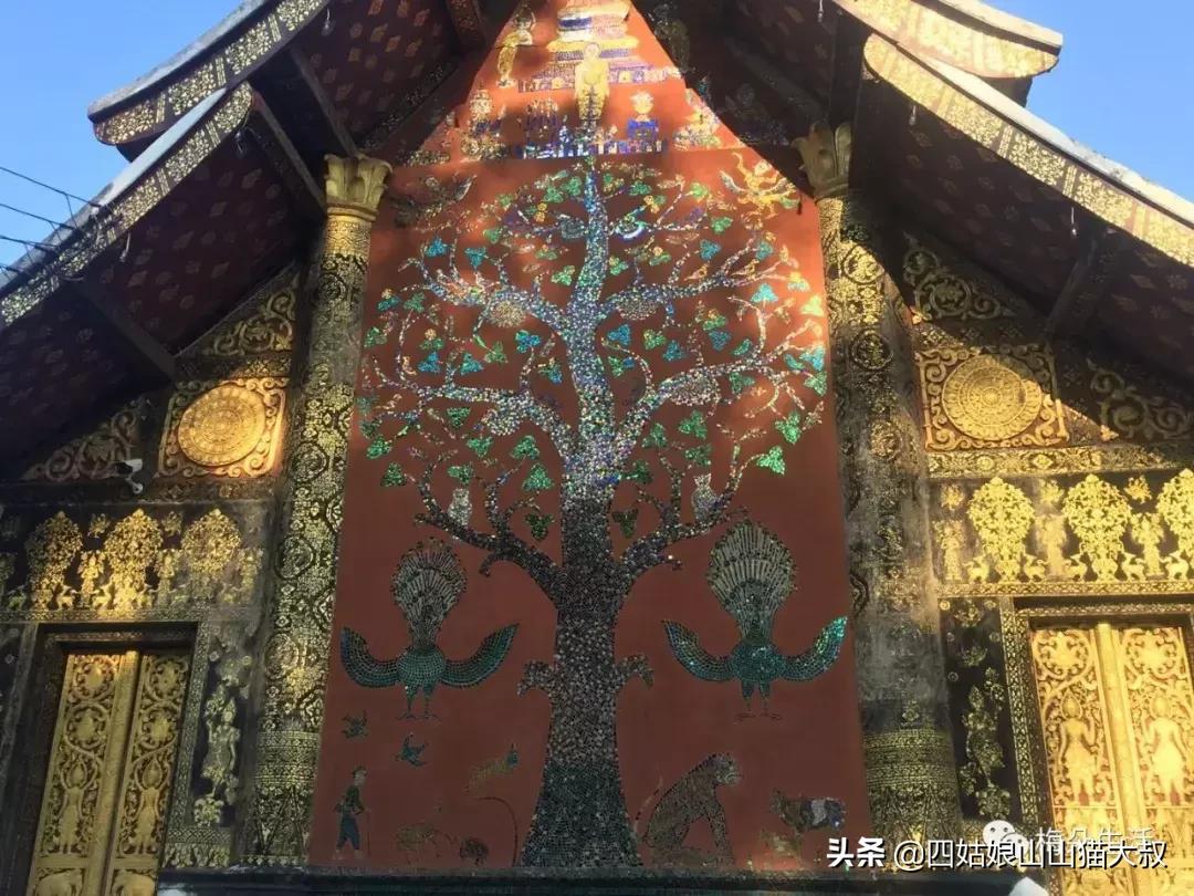 老挝游记,一个人去老挝的游记