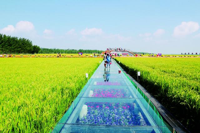 体验东北冬天,带你感受东北的凉爽