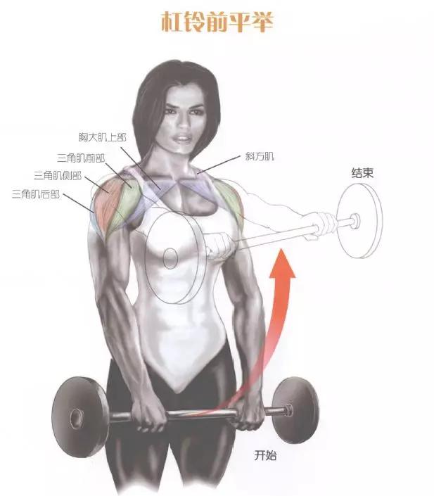 肩部肌肉训练有什么用,肩部训练肌肉线条的美感