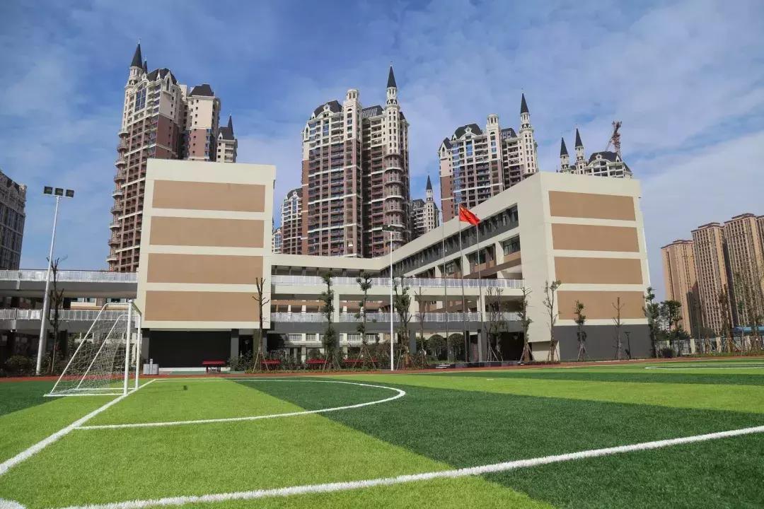 成都名校剖析|五朵金花之一银都小学