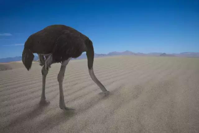 夏日防蚊试试四招,防蚊驱蚊止痒