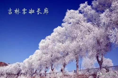 志愿填报参考：中国31省市实力排前五的大学最全盘点！