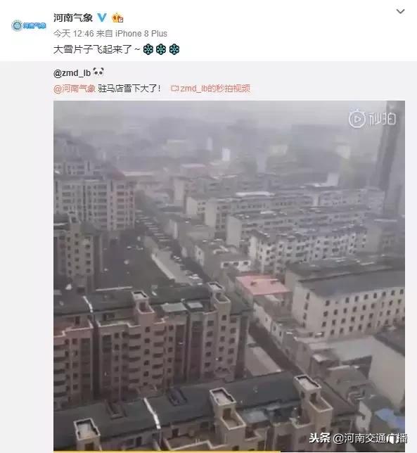 郑州雪都来了,郑州雪来了吗