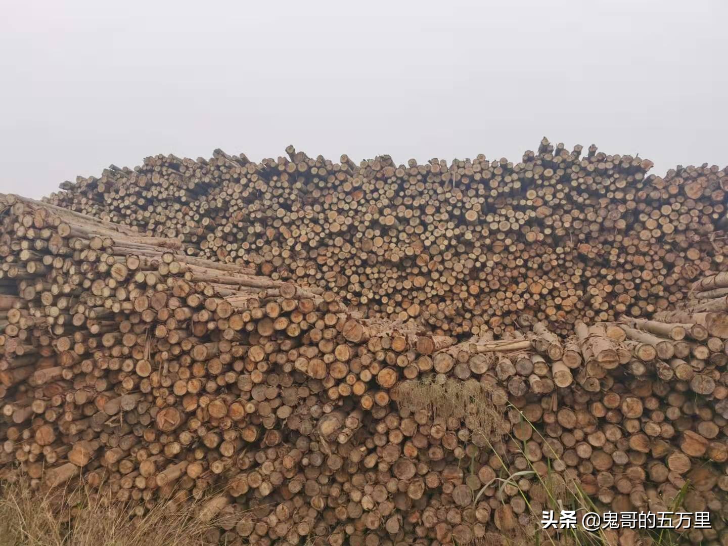 鬼哥的五万里D100骑记：100天了（永平镇-临沧市临翔区）