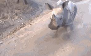 我在闲鱼上买了只猫,我在闲鱼骗了别人500元会坐牢吗