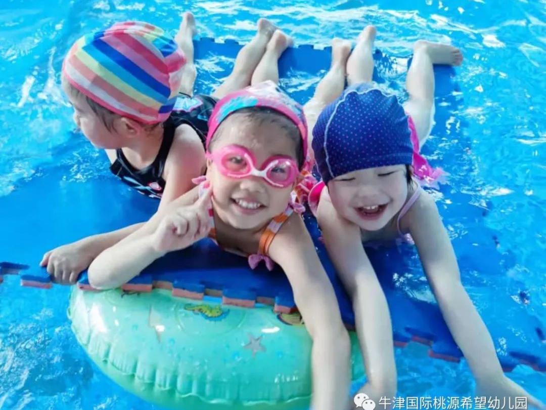 常德桃源公办小学招生政策,常德桃源高中招生计划