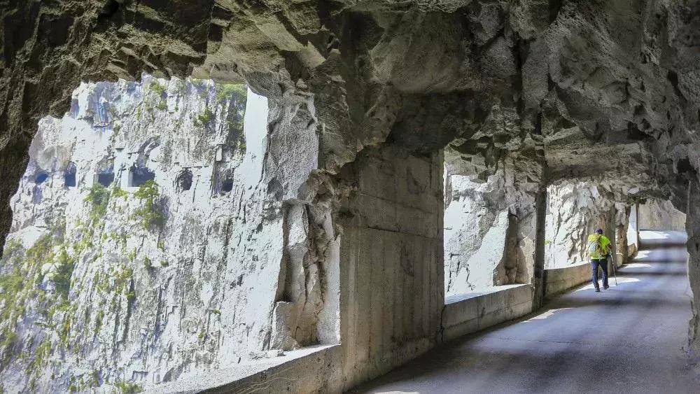 来迟了古诗词,来迟了原版