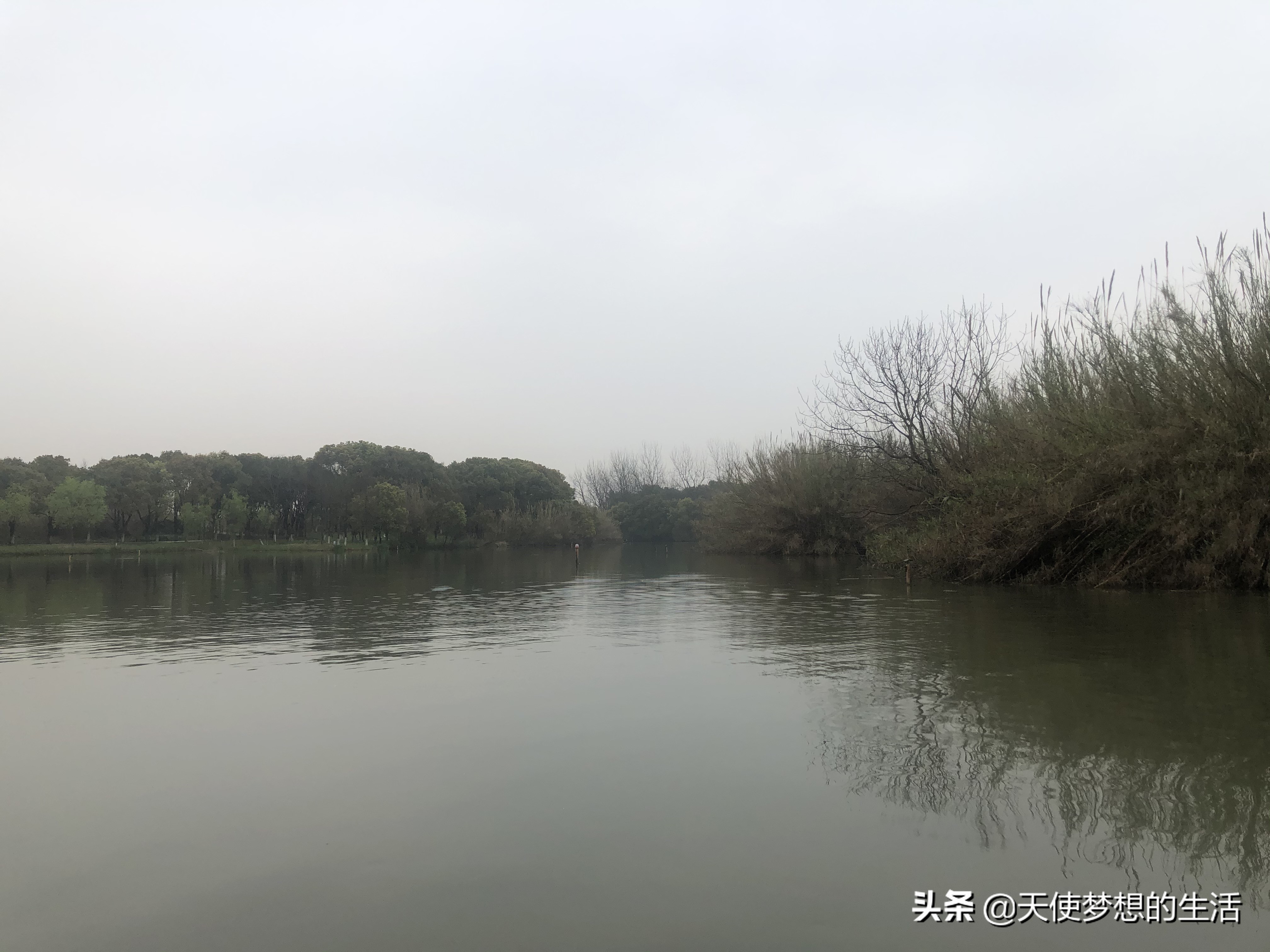 苏州常熟沙家浜有什么好玩的,常熟沙家浜芦苇荡