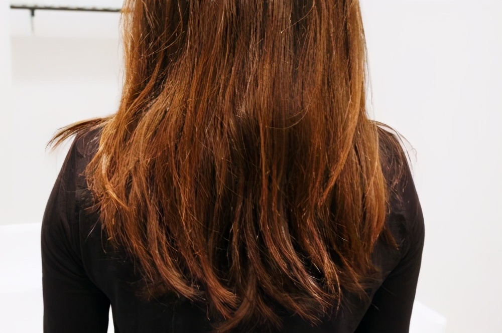 头发出油掉发用什么牌子洗发水,有点掉发用什么牌子洗发水