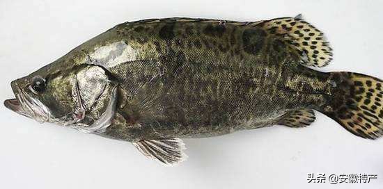 池州特产排名前十名,池州特产方便携带推荐