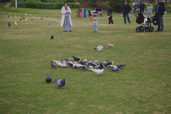 去厦门吹海风,来去厦门观光享受清凉的海风