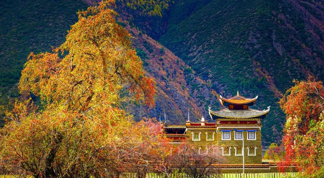 川西到底有什么魔力吸引着,川西为啥旅游资源多