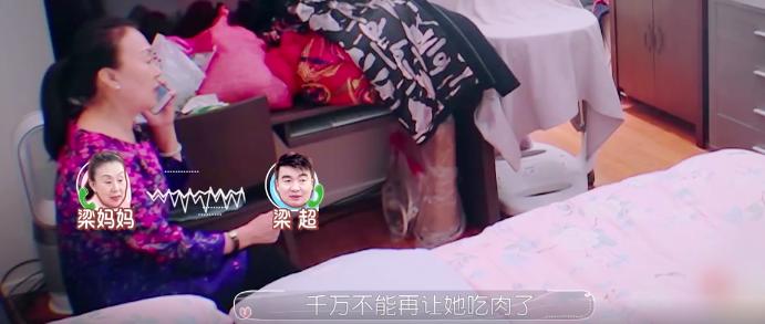 回顾何雯娜的成长经历,现在的何雯娜