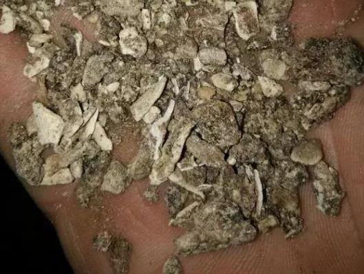 猪骨煮水能浇花吗,熬汤的大骨别扔