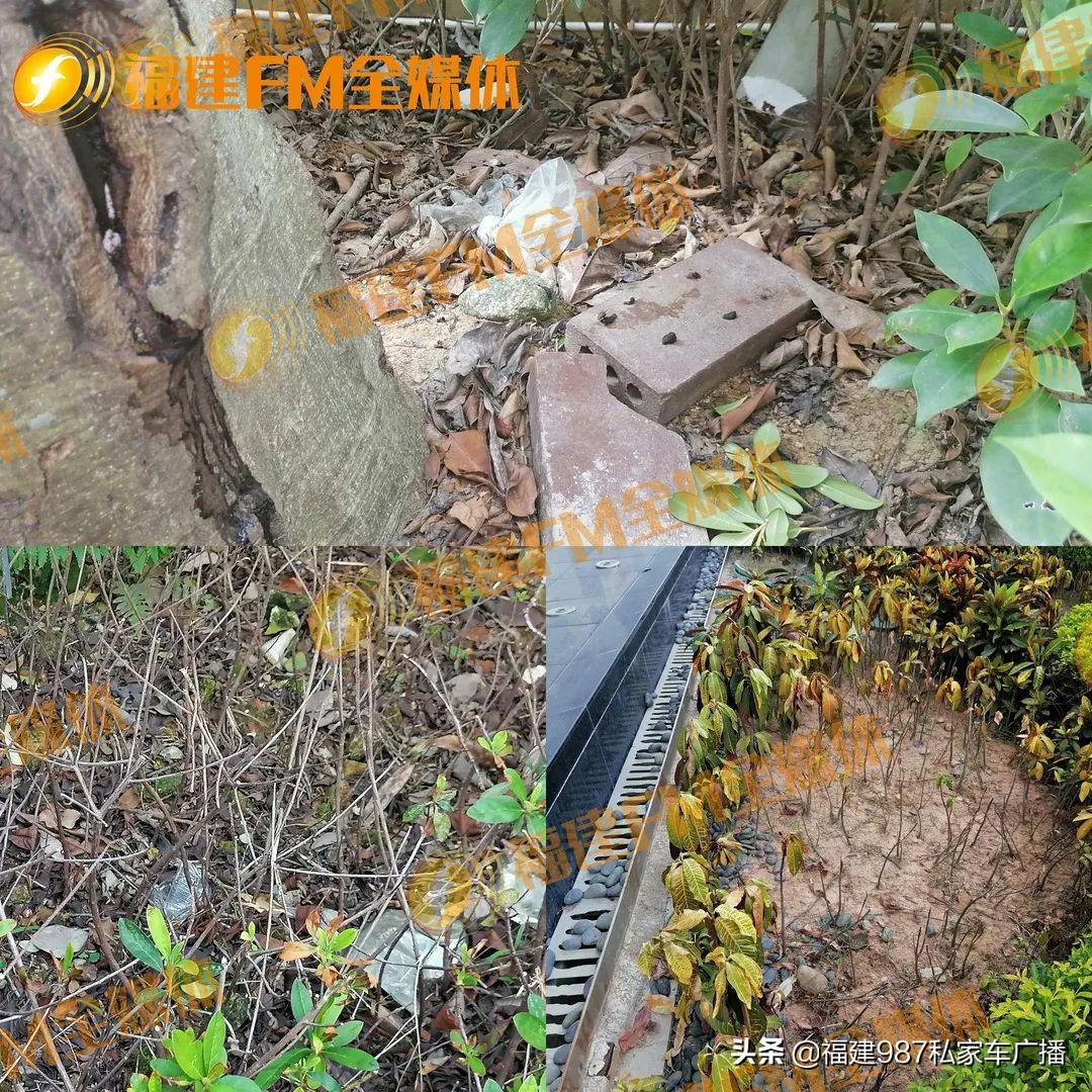 福州鲁能公馆多位业主,福州鲁能公馆二期优缺点