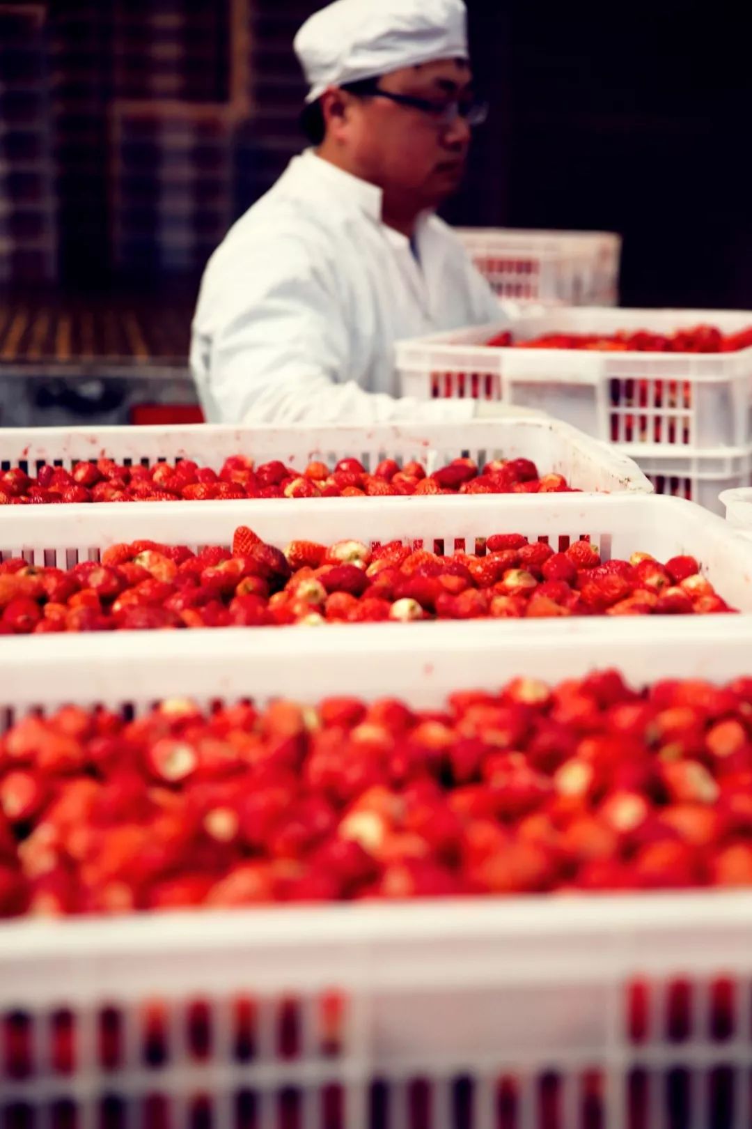 致中和国养国际金奖2012珍藏版,致中和中华老字号酒配料