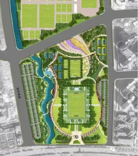 盘龙城足球俱乐部训练基地,盘龙城体育学院